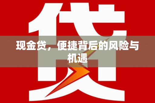 日土现金贷，便捷背后的风险与机遇