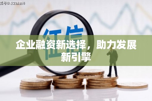日土企业融资新选择，助力发展新引擎