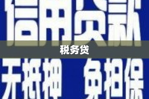日土税务贷