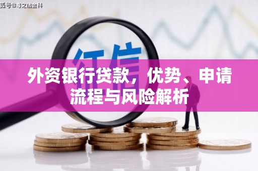 日土外资银行贷款，优势、申请流程与风险解析