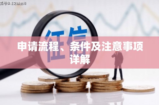 日土申请流程、条件及注意事项详解
