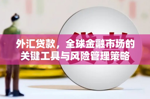 日土外汇贷款，全球金融市场的关键工具与风险管理策略