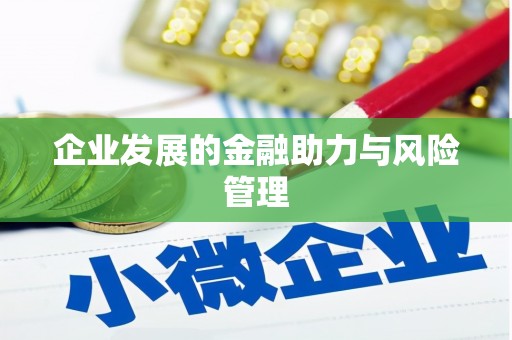 日土企业发展的金融助力与风险管理