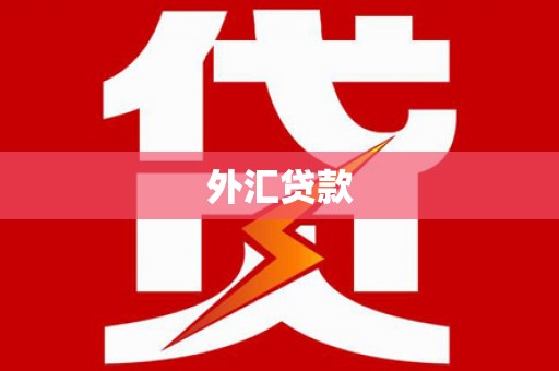 日土外汇贷款