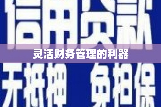 日土灵活财务管理的利器
