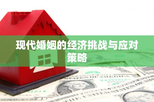 日土现代婚姻的经济挑战与应对策略