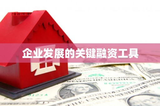 日土企业发展的关键融资工具