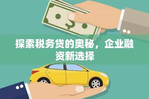 日土探索税务贷的奥秘，企业融资新选择