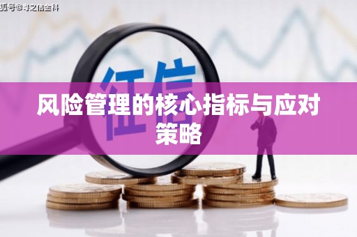日土风险管理的核心指标与应对策略