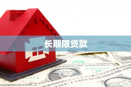日土长期限贷款