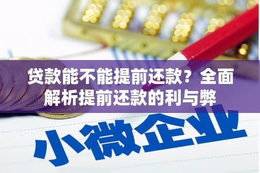 日土贷款能不能提前还款？全面解析提前还款的利与弊