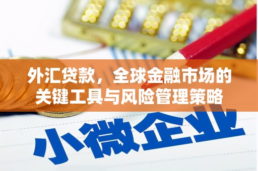日土外汇贷款，全球金融市场的关键工具与风险管理策略