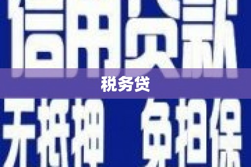 日土税务贷