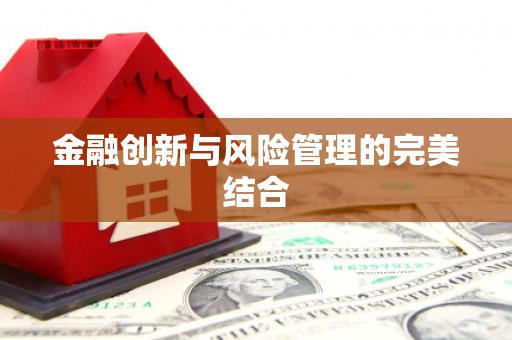 日土金融创新与风险管理的完美结合