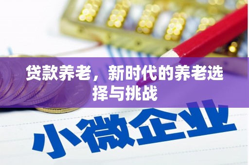 日土贷款养老，新时代的养老选择与挑战