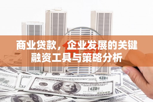 日土商业贷款，企业发展的关键融资工具与策略分析