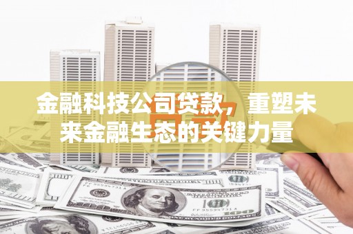 日土金融科技公司贷款，重塑未来金融生态的关键力量