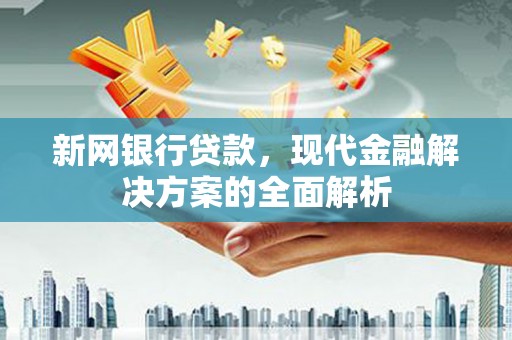 日土新网银行贷款，现代金融解决方案的全面解析