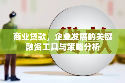 日土商业贷款，企业发展的关键融资工具与策略分析