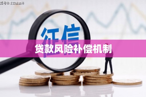 日土贷款风险补偿机制