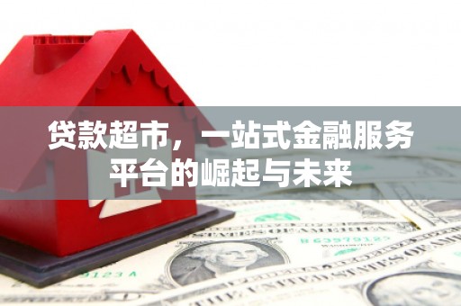 日土贷款超市，一站式金融服务平台的崛起与未来