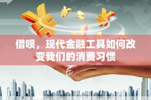 日土借呗，现代金融工具如何改变我们的消费习惯