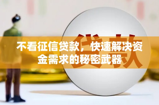 日土不看征信贷款，快速解决资金需求的秘密武器