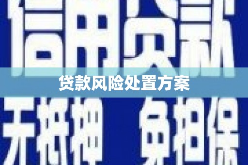 日土贷款风险处置方案