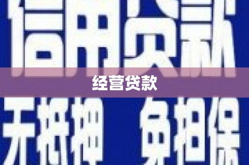 日土经营贷款