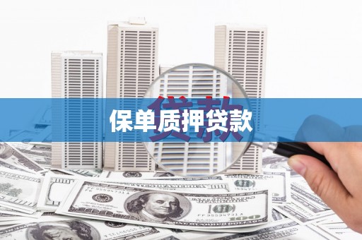 日土保单质押贷款