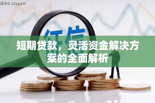 日土短期贷款，灵活资金解决方案的全面解析