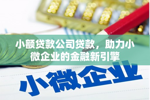 日土小额贷款公司贷款，助力小微企业的金融新引擎