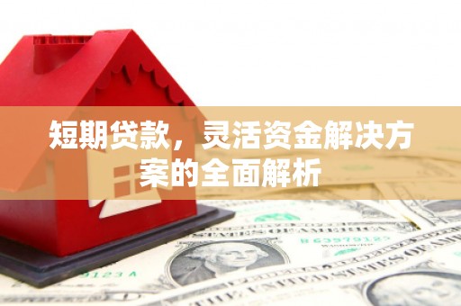 日土短期贷款，灵活资金解决方案的全面解析