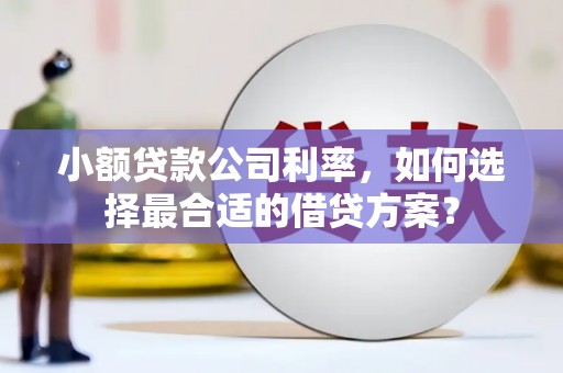 日土小额贷款公司利率，如何选择最合适的借贷方案？