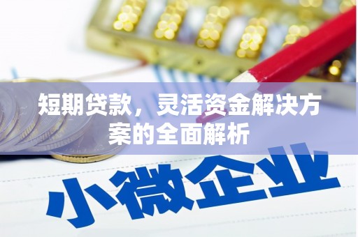 日土短期贷款，灵活资金解决方案的全面解析