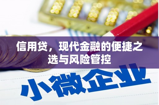 日土信用贷，现代金融的便捷之选与风险管控