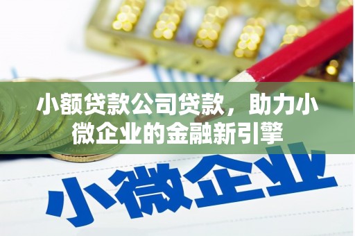 日土小额贷款公司贷款，助力小微企业的金融新引擎