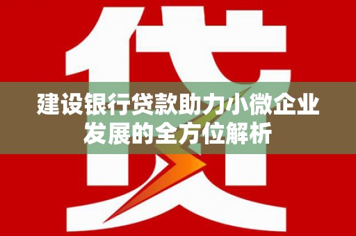 日土建设银行贷款助力小微企业发展的全方位解析