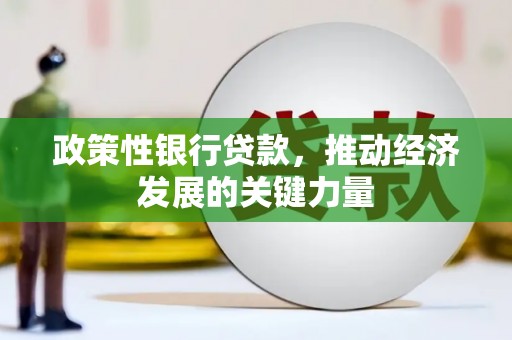 日土政策性银行贷款，推动经济发展的关键力量
