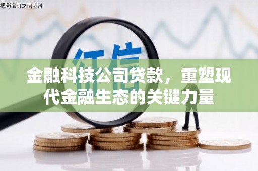 日土金融科技公司贷款，重塑现代金融生态的关键力量