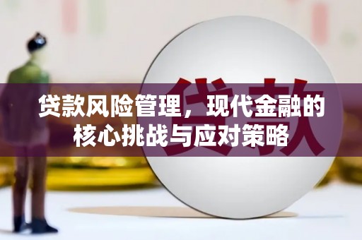 日土贷款风险管理，现代金融的核心挑战与应对策略