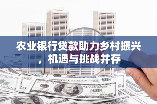 日土农业银行贷款助力乡村振兴，机遇与挑战并存