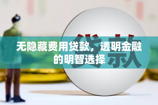 日土无隐藏费用贷款，透明金融的明智选择