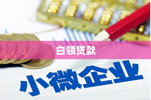 日土白领贷款