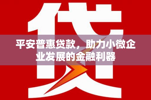 日土平安普惠贷款，助力小微企业发展的金融利器