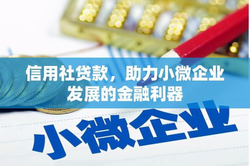 日土信用社贷款，助力小微企业发展的金融利器