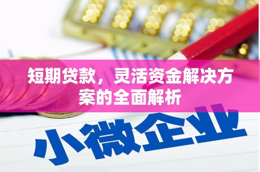 日土短期贷款，灵活资金解决方案的全面解析