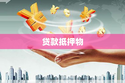 日土贷款抵押物
