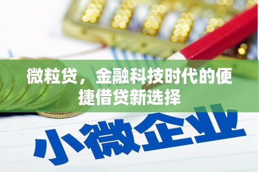日土微粒贷，金融科技时代的便捷借贷新选择
