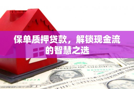 日土保单质押贷款，解锁现金流的智慧之选
